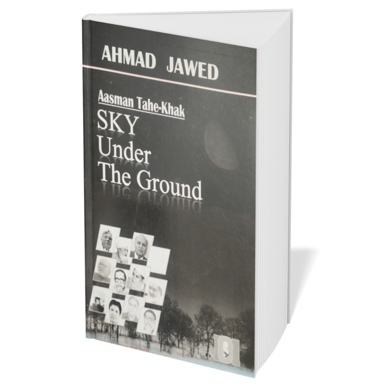 Sky Under the Ground book cover
