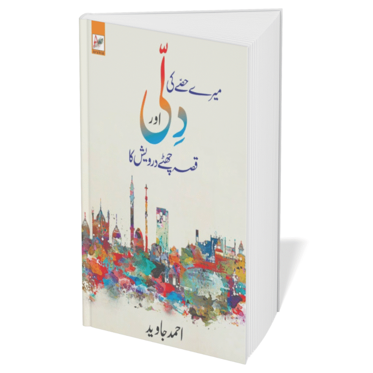Mere Hisse ki Dilli book cover